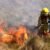 ARRESTO EFECTIVO PARA UN VECINO DE NONO POR INICIAR UN INCENDIO EN PLENA ALERTA AMBIENTAL